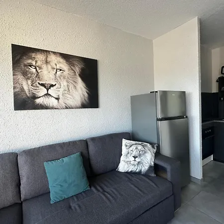 La Goelette Terrasse Proche Port Camargue 勒格罗-迪鲁瓦
