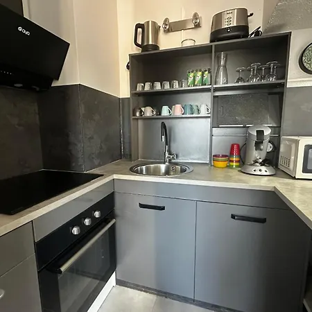 公寓 La Goelette Terrasse Proche Port Camargue 勒格罗-迪鲁瓦