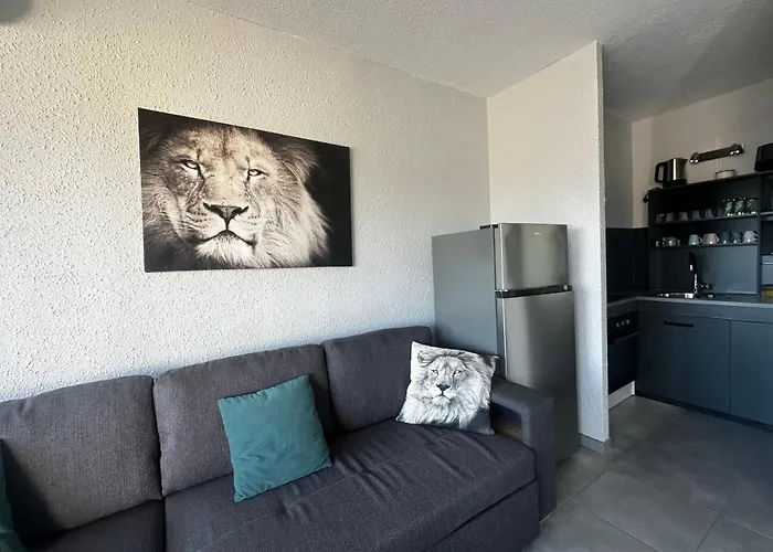 La Goelette - Avec Terrasse Proche De La Apartment *